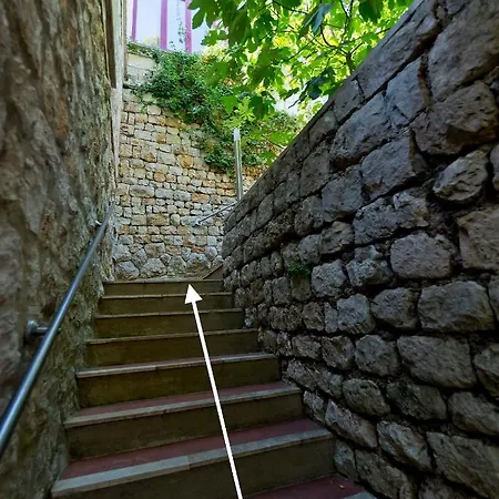 Magnolia Art * Ντουμπρόβνικ