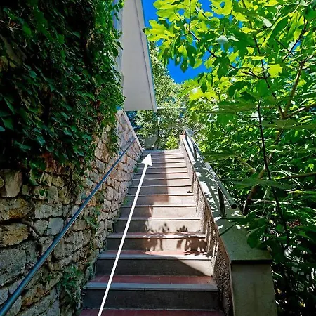 Magnolia Art Ντουμπρόβνικ