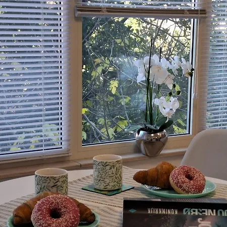 Magnolia Art Διαμέρισμα Ντουμπρόβνικ