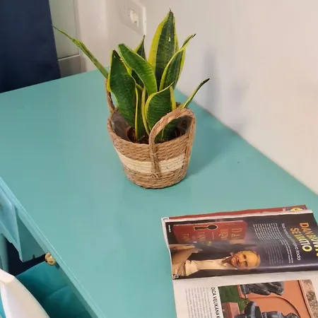 Magnolia Art * Ντουμπρόβνικ