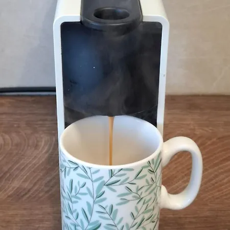 Magnolia Art 杜布罗夫尼克