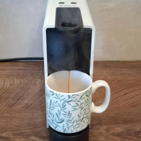 Magnolia Art * Ντουμπρόβνικ