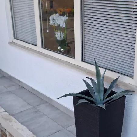 Magnolia Art 杜布罗夫尼克