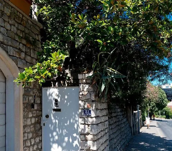 Magnolia Art دوبروفينك