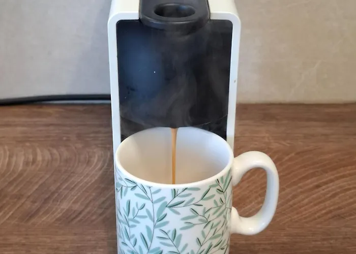 Magnolia Art دوبروفينك