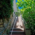 Magnolia Art Dubrovnik