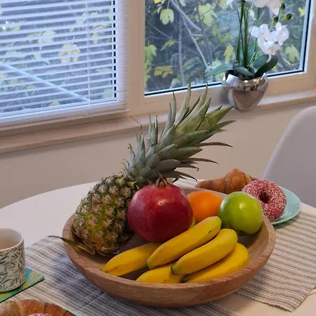 Magnolia Art * Dubrovnik