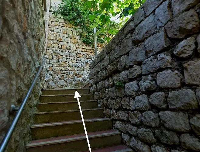 Magnolia Art * Dubrownik