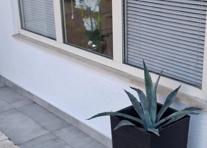 Apartament Magnolia Art *