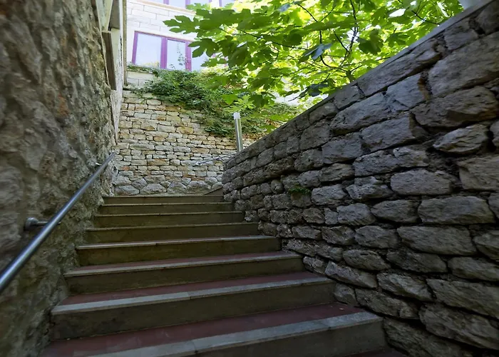 Apartament Magnolia Art