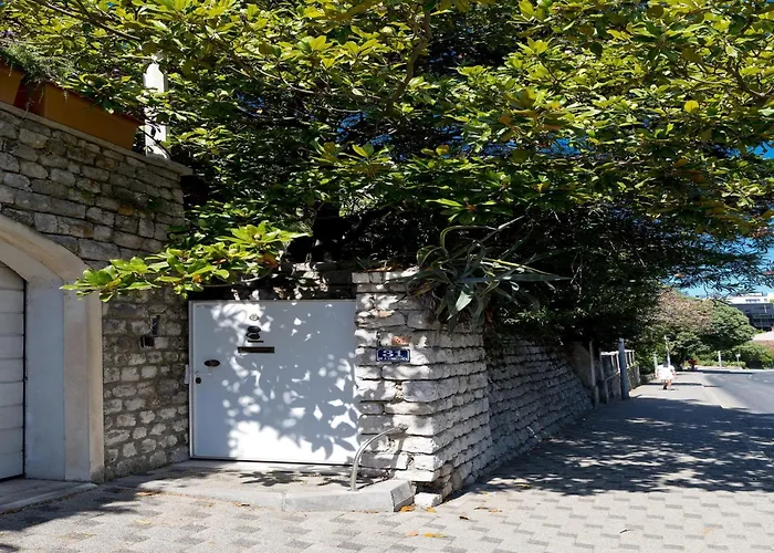 Apartament Magnolia Art *